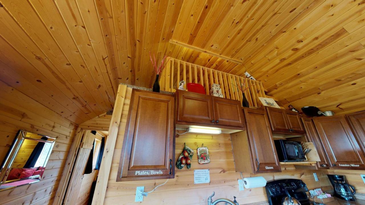 White Pine Cabin By Canyonlands Lodging Monticello Luaran gambar