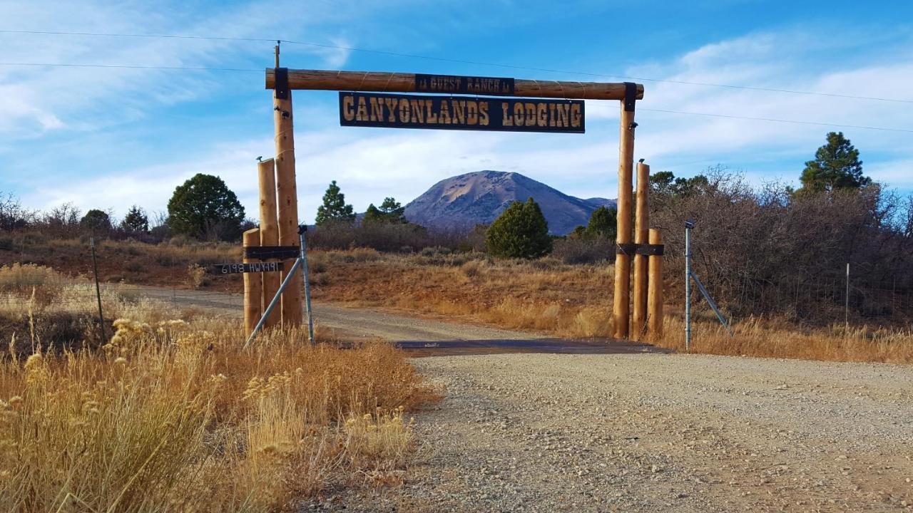 White Pine Cabin By Canyonlands Lodging Monticello Luaran gambar